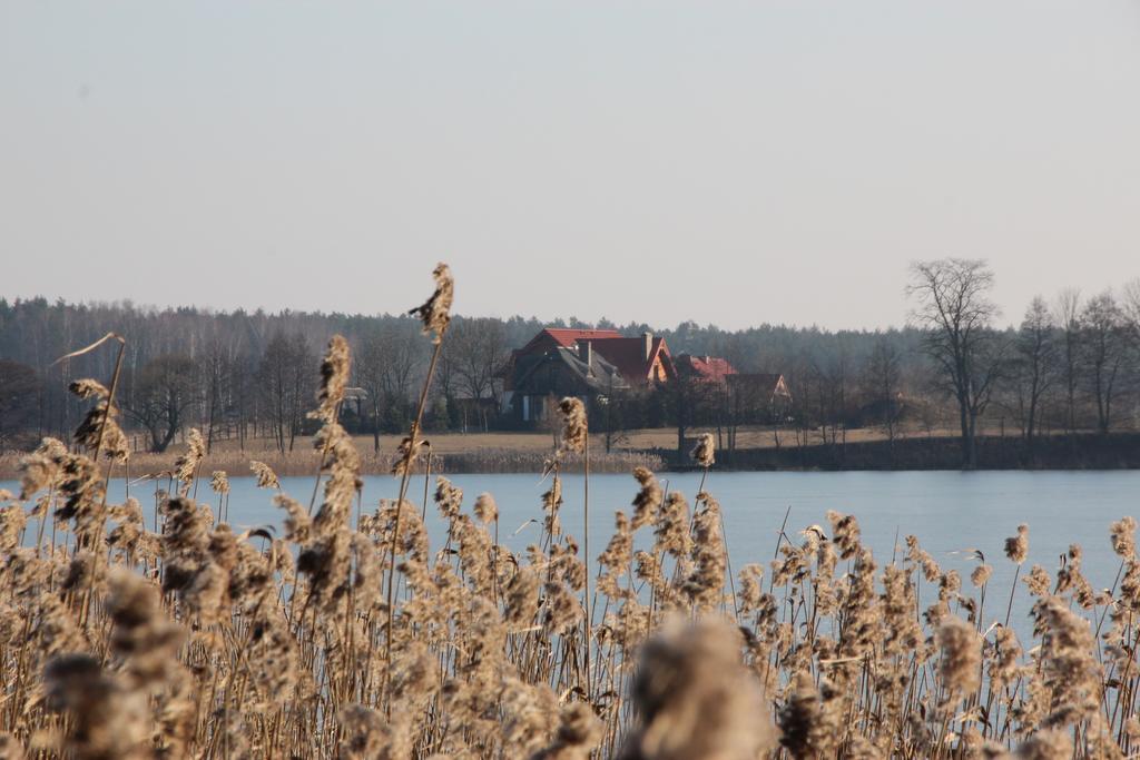 Gospodarstwo agroturystyczne Dom Nad Krzywym